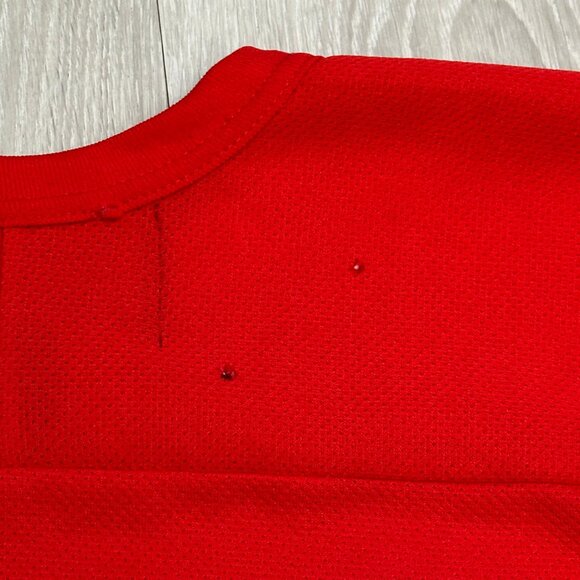 Vintage Pro Player Buffalo Sabres Goat Head NHL Red Practice Hockey Jersey Large - Picture 7 of 7